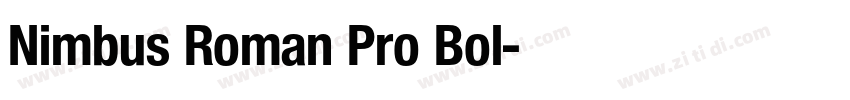 Nimbus Roman Pro Bol字体转换 Nimbus Roman Pro Bol字体转换